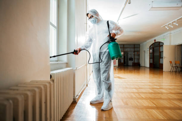 Best Commercial Pest Control Services  in Belle, MO